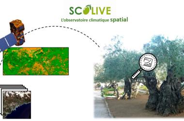 SCOLive combine observations satellitaires et citoyennes, des techniques complémentaires et reproductibles en tout lieu.