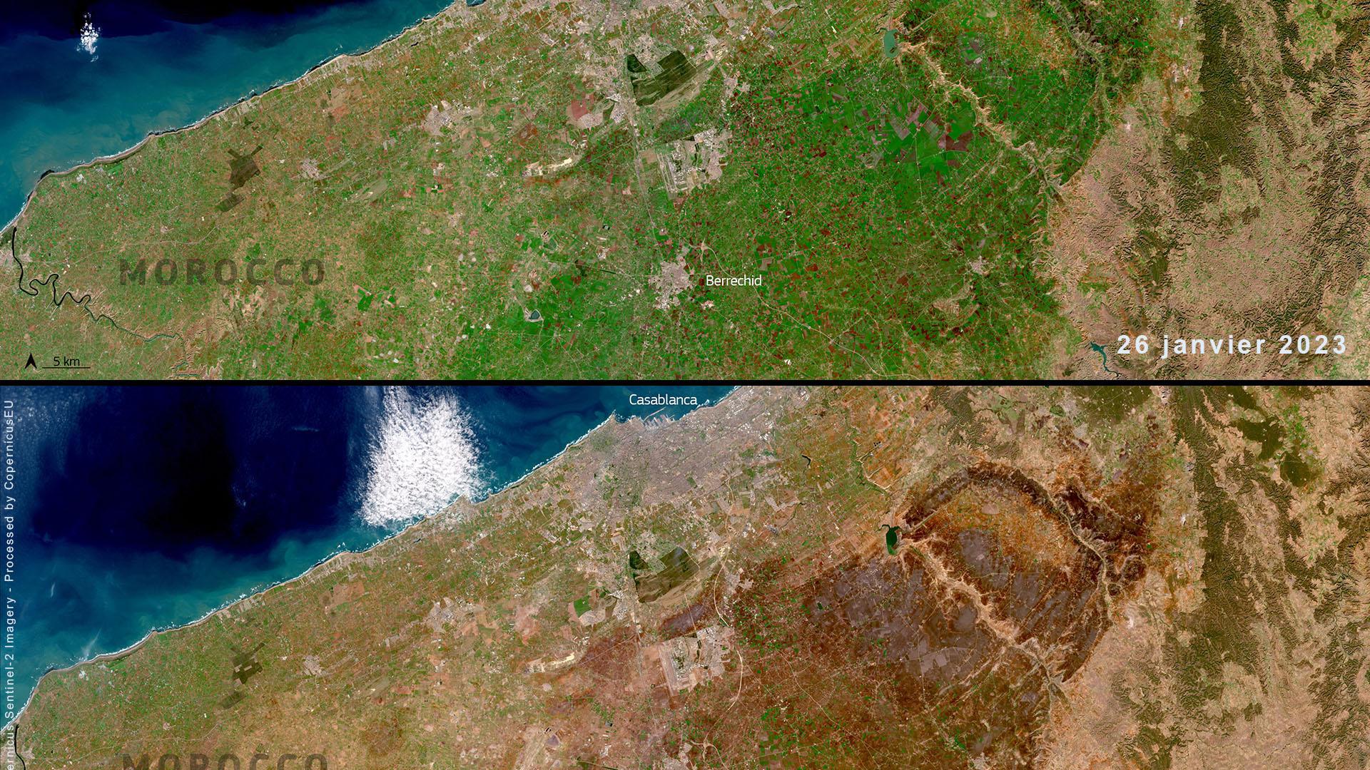 In recent years, Morocco has been affected by prolonged periods of drought and low rainfall, as shown by these Sentinel-2 images in January 2023 and 2024. Faced with the threat of water shortages, local authorities need tools like IRRISAT to optimise the management of this precious resource.